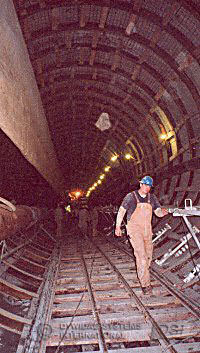 Steel Ribs Steel Ribs